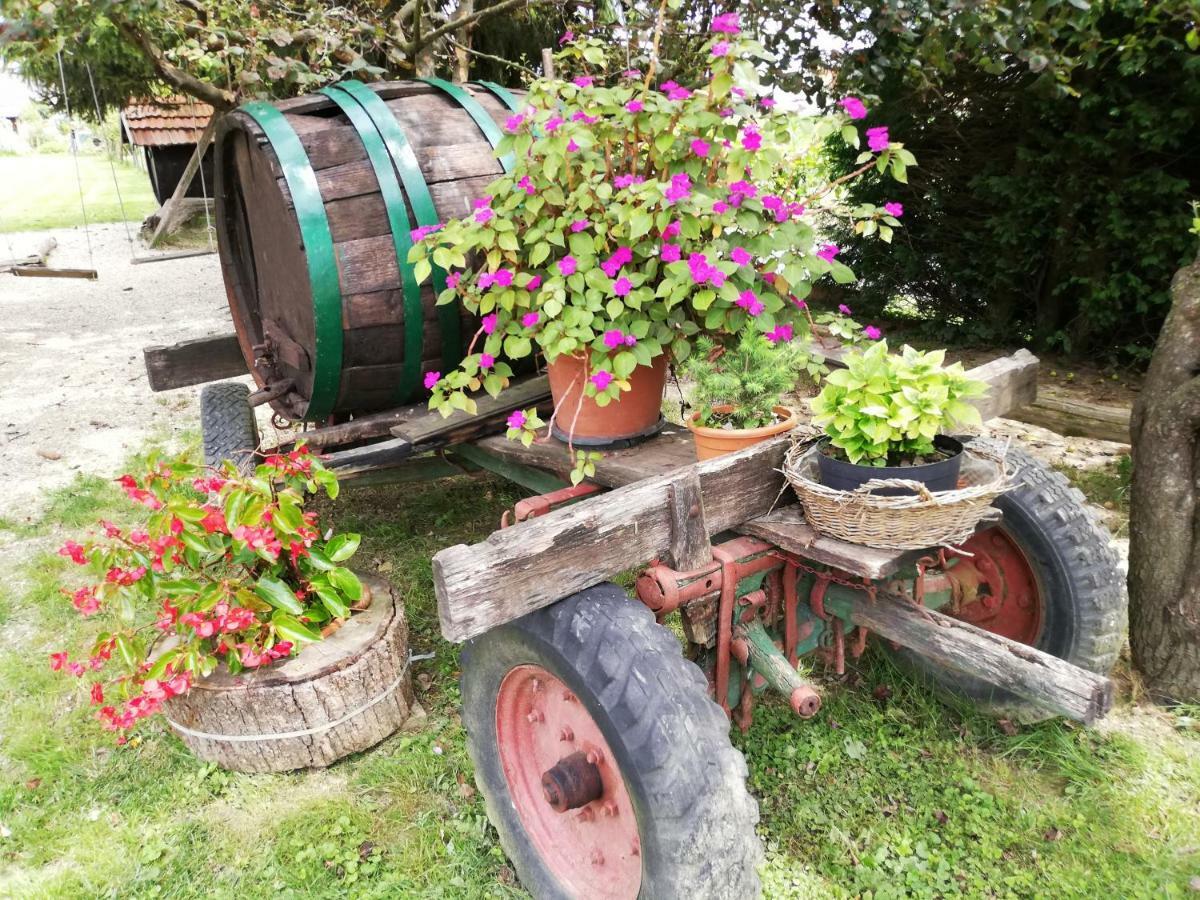T.s.g. Simanovic Maison d'hôtes 2*